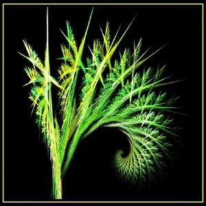 Meet your Posher, Dannie